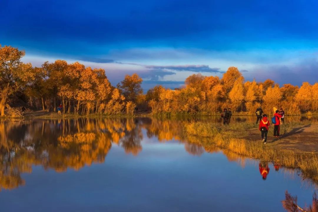 额济纳胡杨林自驾游详细攻略,宝鸡自驾往额济纳胡杨林攻略