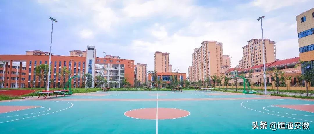 东坡区新增2所小学,颍州区学校最新消息