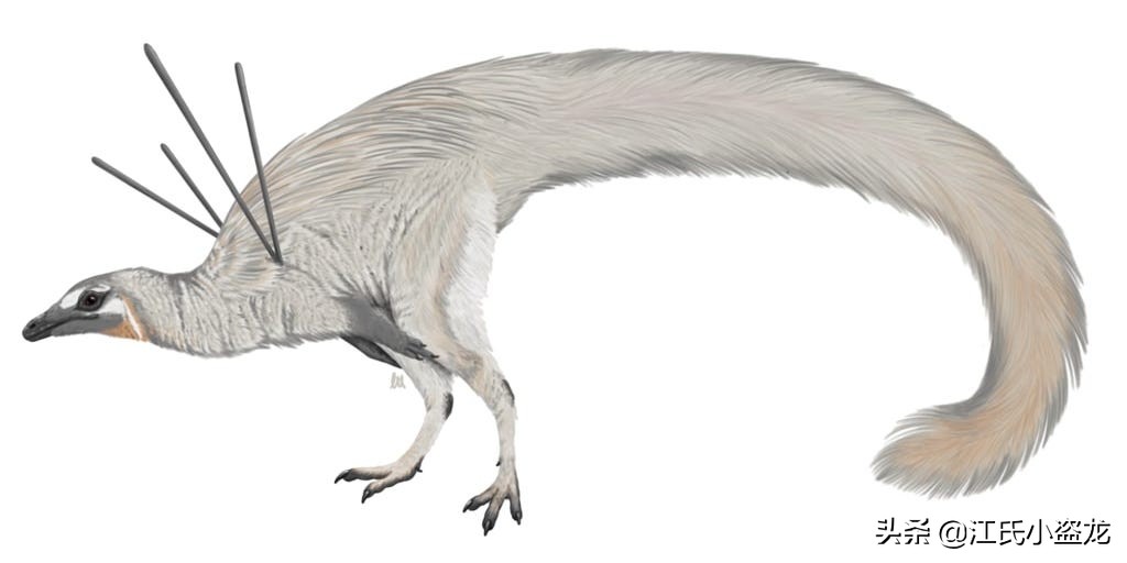 古生物生物学家,古生物科学家