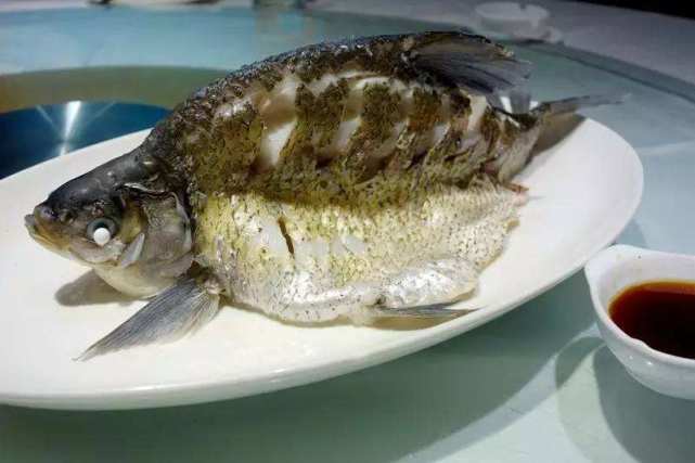 鱼有柴油味道是什么原因,做鱼为什么有土腥味