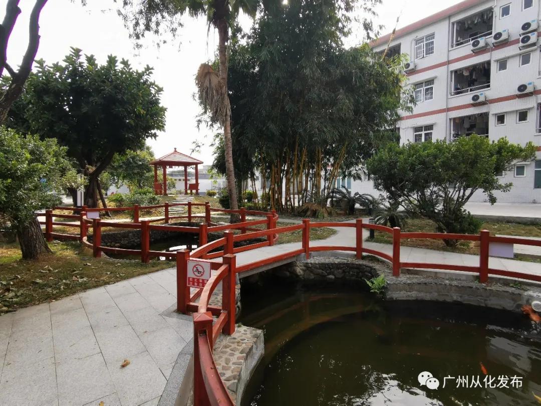 从化五中是个怎样的学校,从化区有哪几所是示范校高中