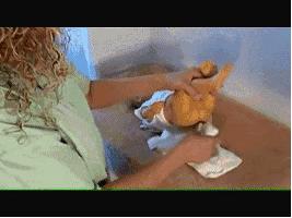 给宝宝换尿不湿的方法,给宝宝换尿不湿的正确方式