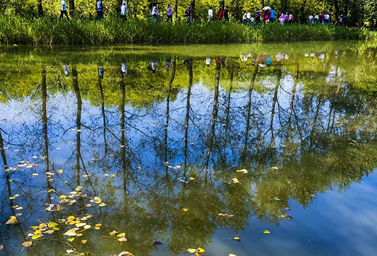 长三角城市群最佳旅游线路,长三角示范区旅游详细攻略