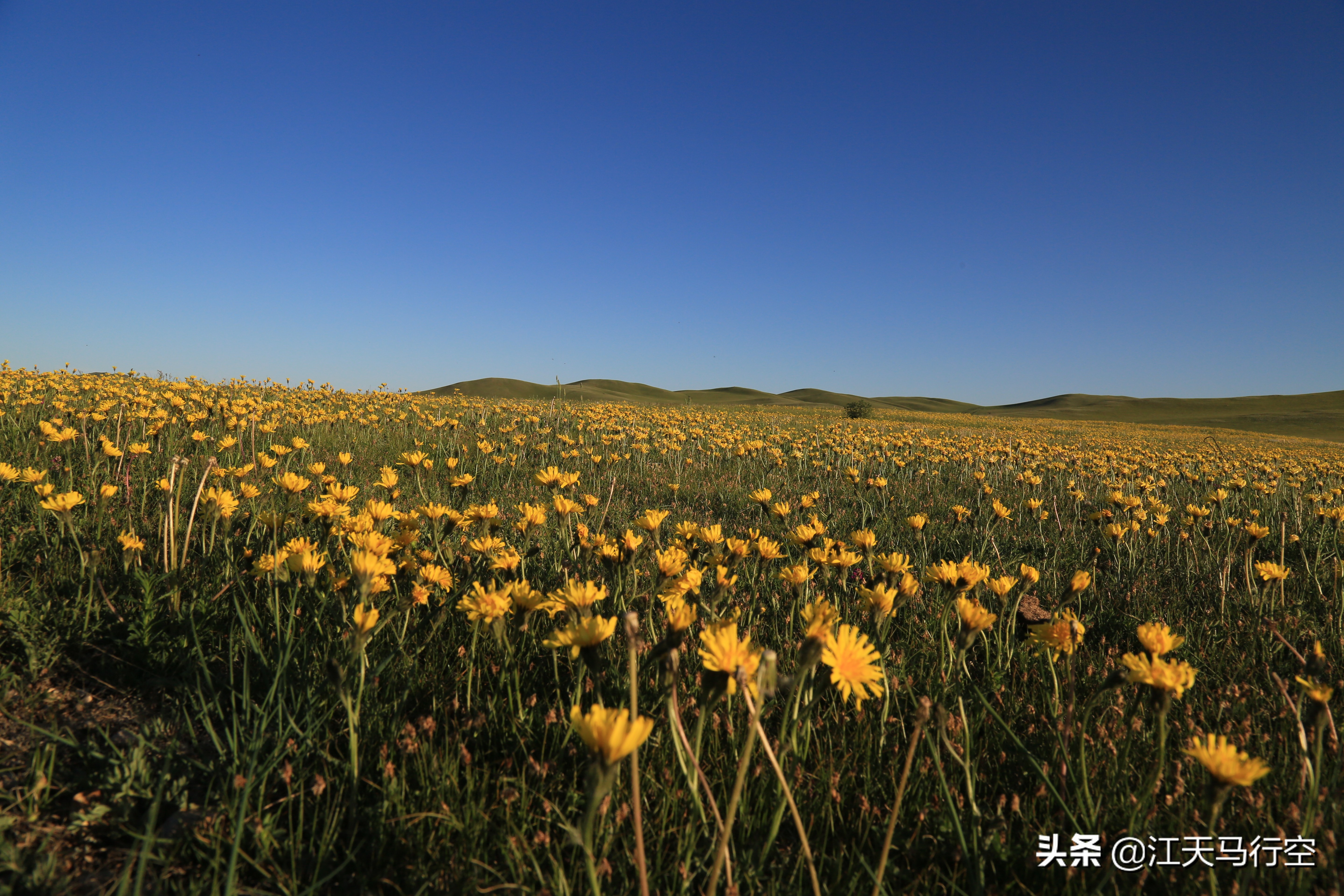 内蒙古草原与国家公园,内蒙古的草原自然公园