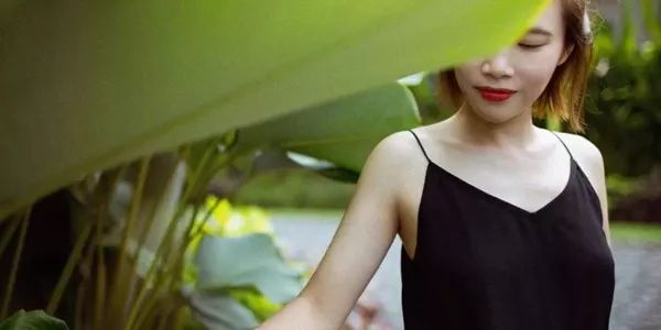 花艺行业市场前景,花艺行业赛道