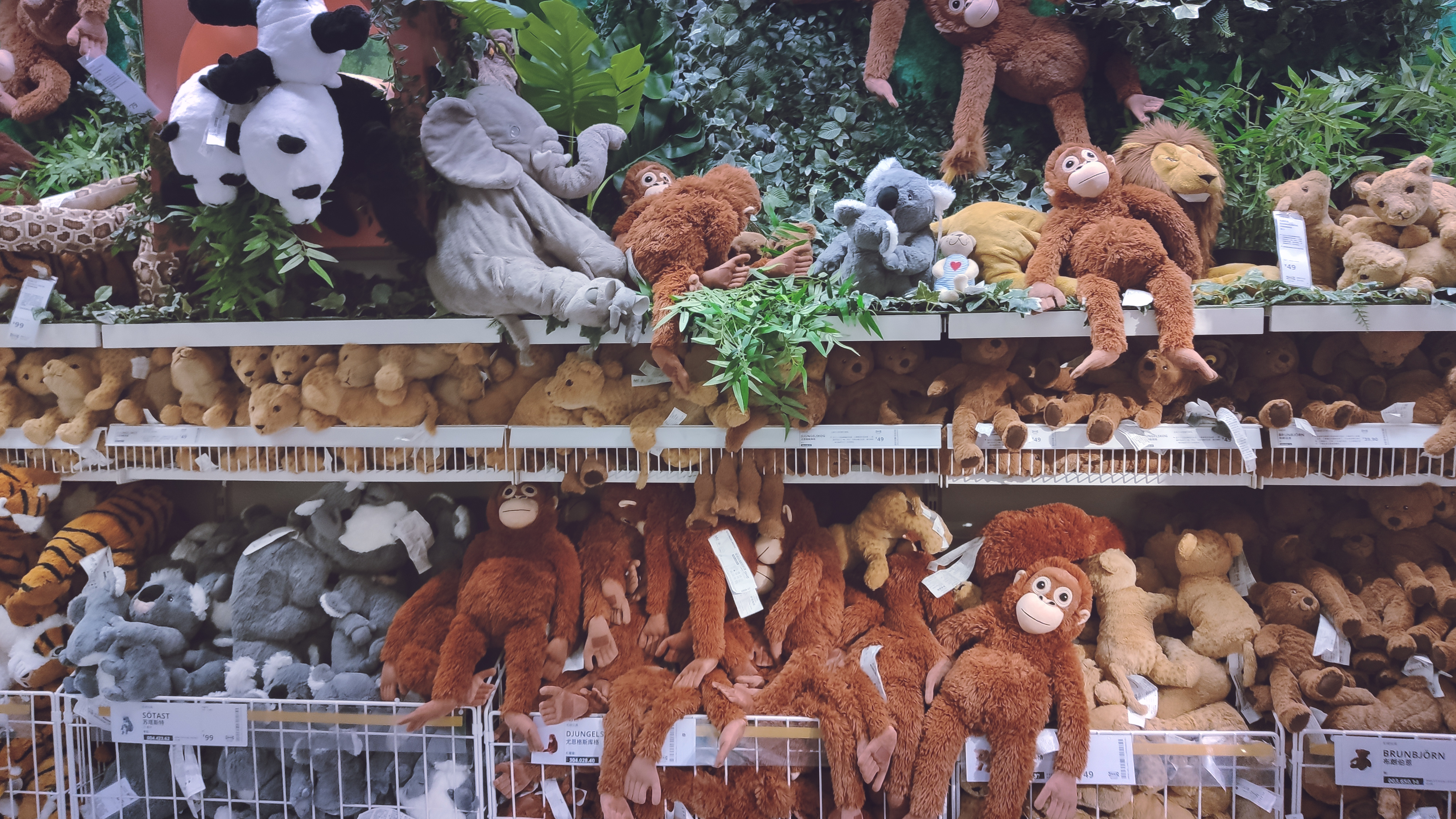 郑州宜家有什么好逛的,郑州宜家有什么值得买的