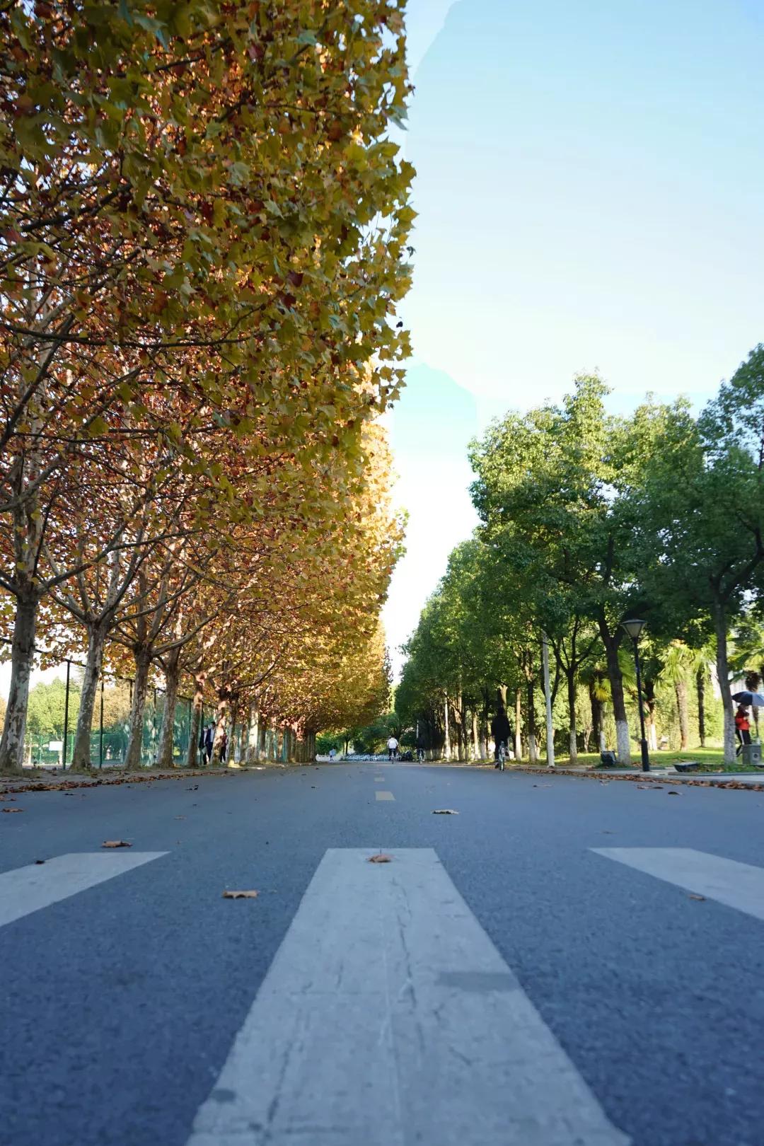 安徽13所一本大学名单,安徽省高校简介