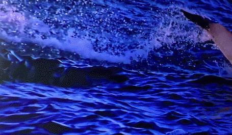 王思聪小米手机,王思聪手机小米