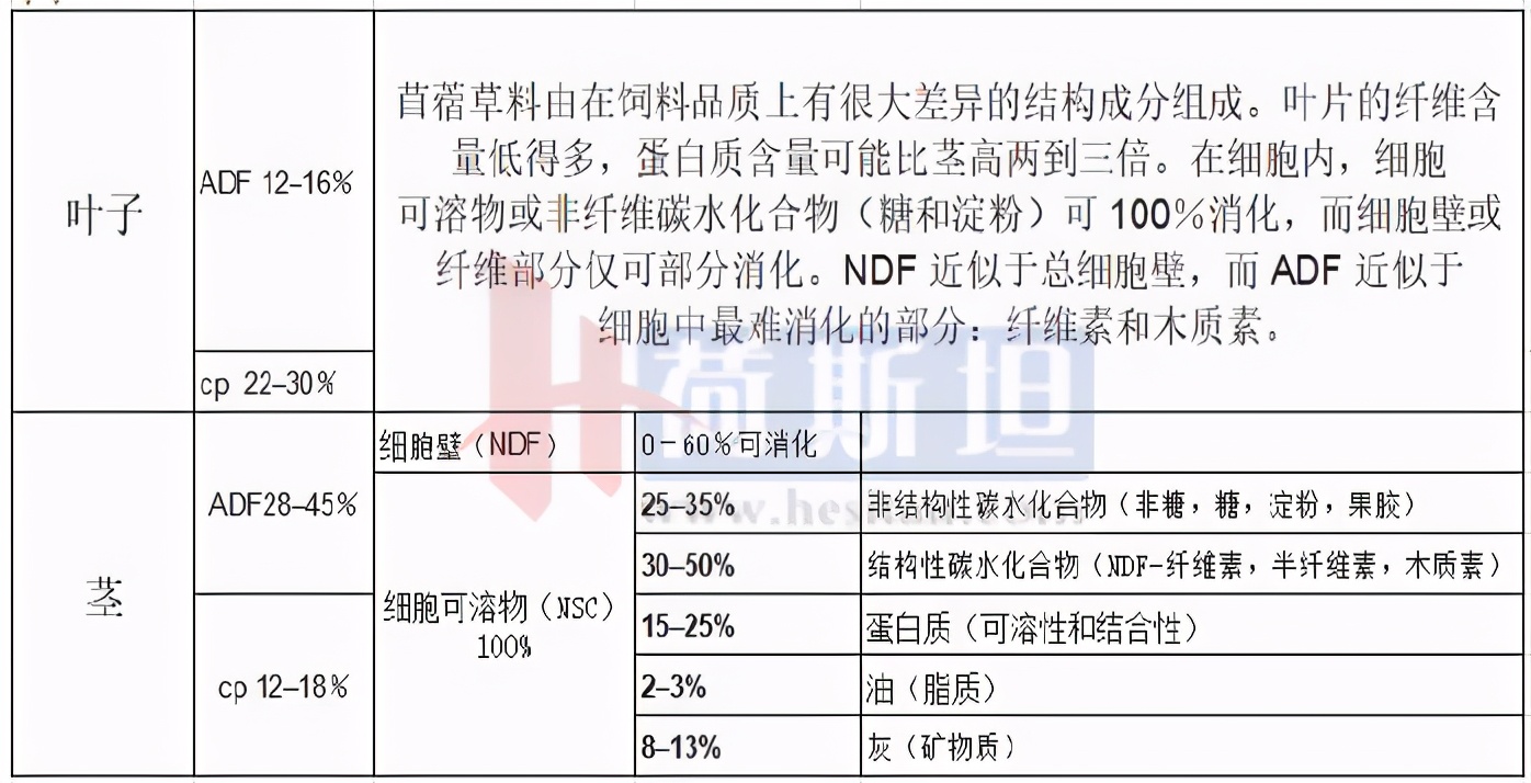 乐源牧业现有几个牧场,乐源牧业大名县牧场