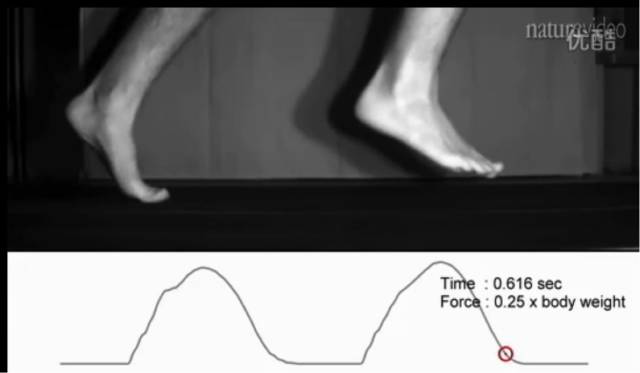 缓震跑鞋是碳板跑鞋吗,缓震跑鞋有必要买吗