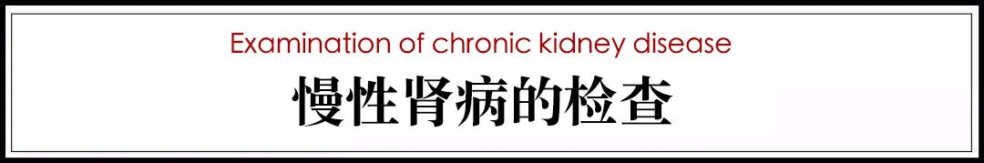 猫病视频,猫肾脏病视频大全