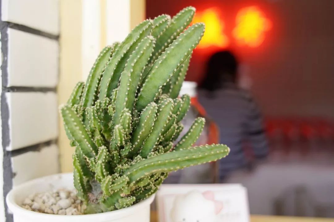 健康路熟不熟?这8家店你未必都吃过哇?