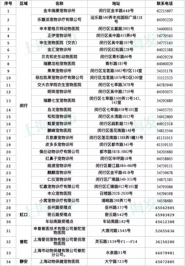 铲屎官养犬,铲屎官养了宠物怎么办