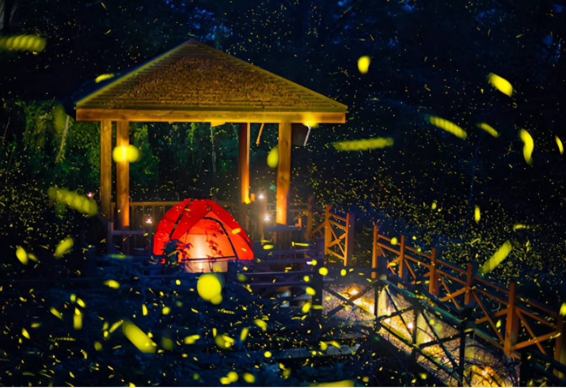 你眼中的夏天是什么样子一年级,你眼中的夏天是怎样的一年级学生