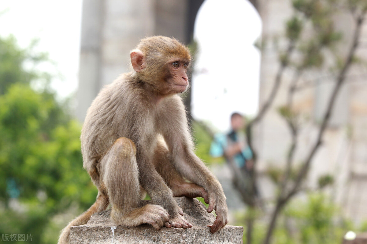 苏大强在江苏的地图,苏大强江苏个人简介