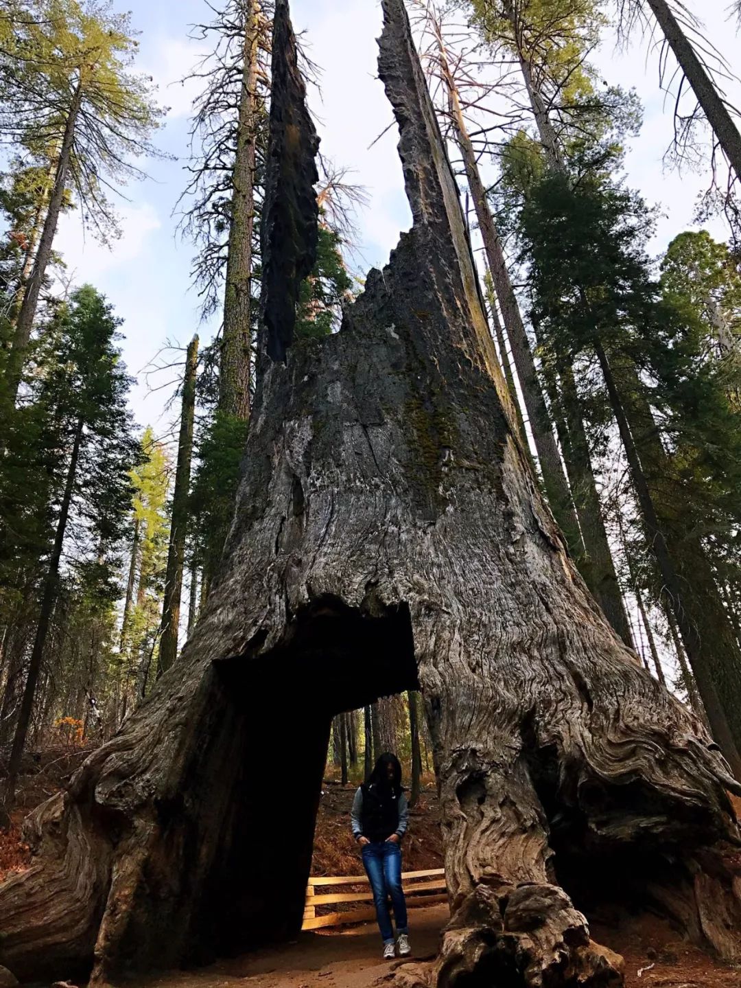 厦门市优山美地,优山美地推荐