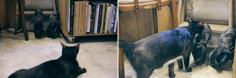 萨洛蒙登山鞋测评推荐女款,salomon萨洛蒙上脚