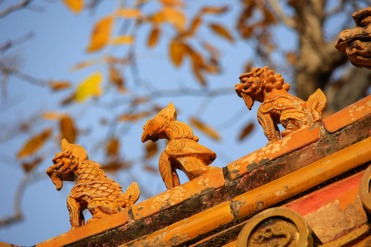 浣宠兘rf400mmf2.8璇勬祴,浣宠兘rf-s24-105mm娴嬭瘎