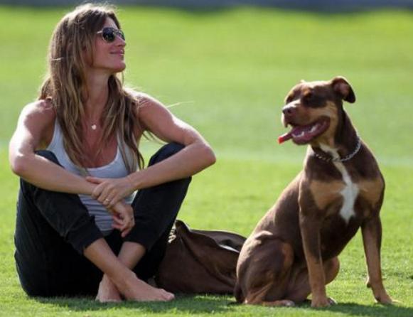 狗狗出现哪6种现象就得了狂犬,夏天狗狗为什么要降温