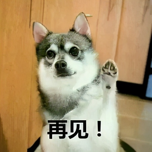 雅思老师去考雅思是一种什么体验,雅思主考官教你学雅思