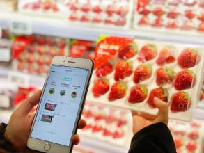 一红到底只卖一天，盒马的葲荭草莓逼疯供应商