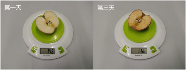 性价比品牌小冰箱,性价比高小冰箱哪个品牌好