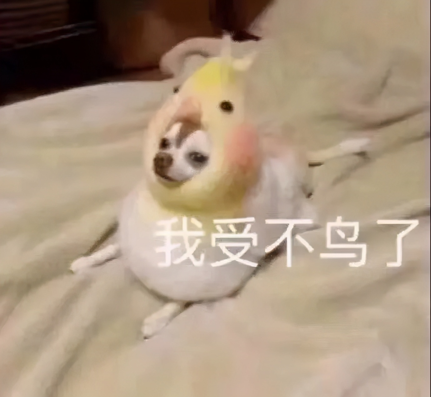 点痣就能变美,点痣整容大法