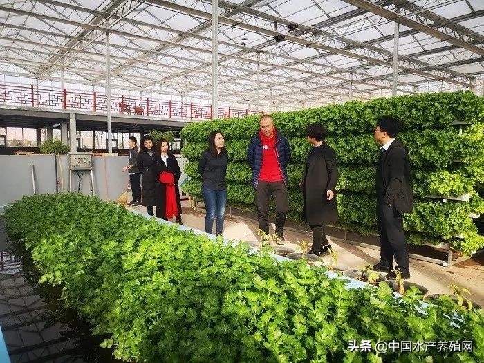 节水节电绿色低碳,节水节电低碳减排