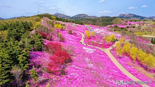 值得参观的国内优秀花园之品鉴（上篇）