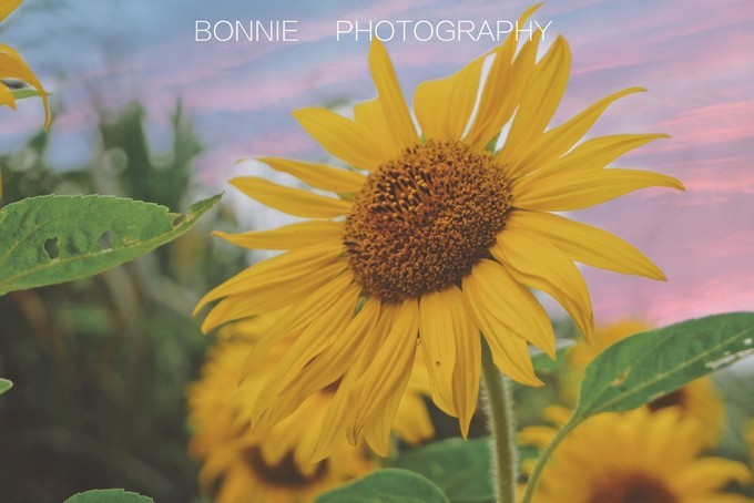 嵊泗列岛3天2夜攻略,嵊泗本岛三天两夜自由行攻略