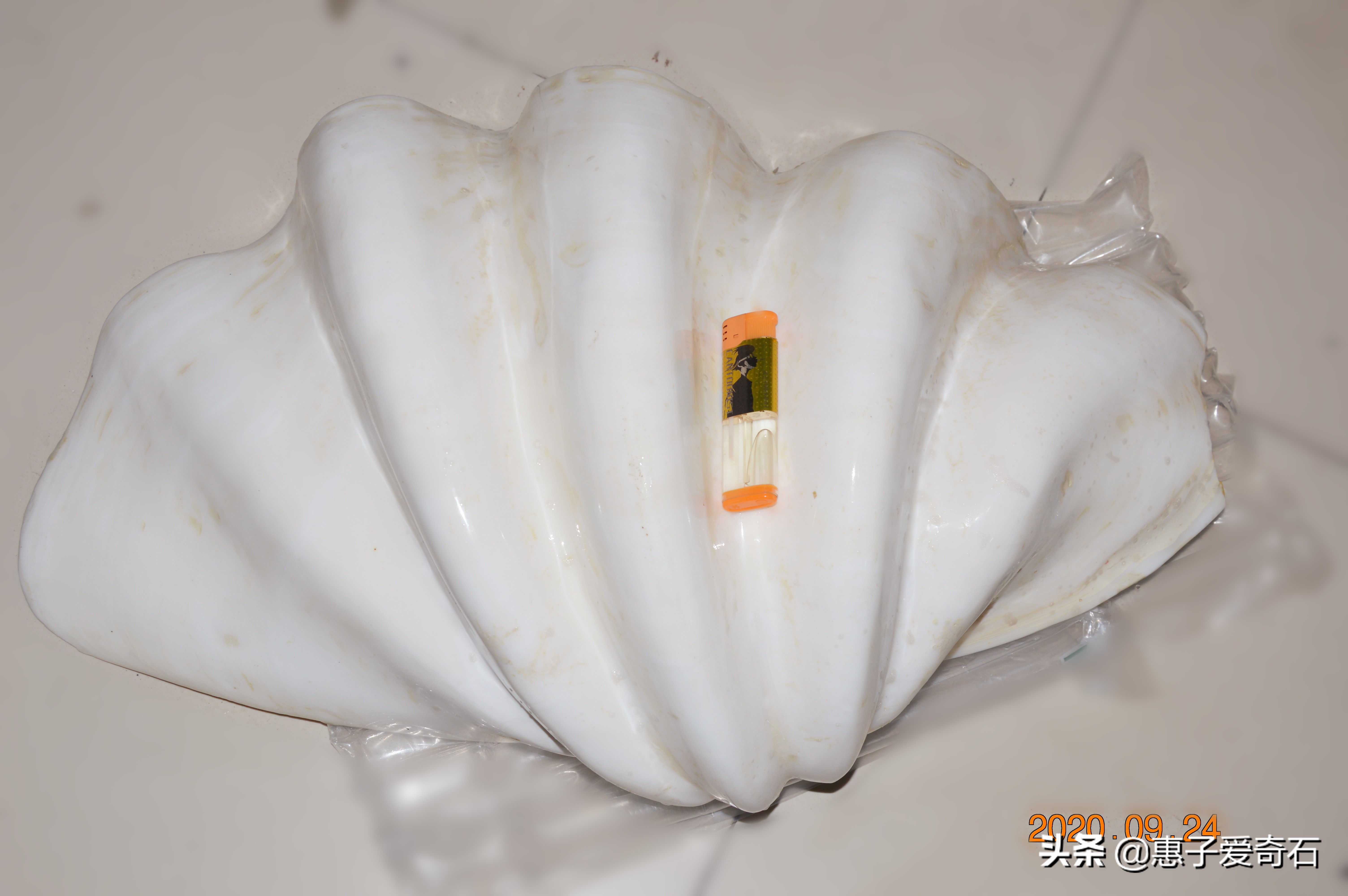 台湾省奇石玉石一览,中国四大奇石价值连城