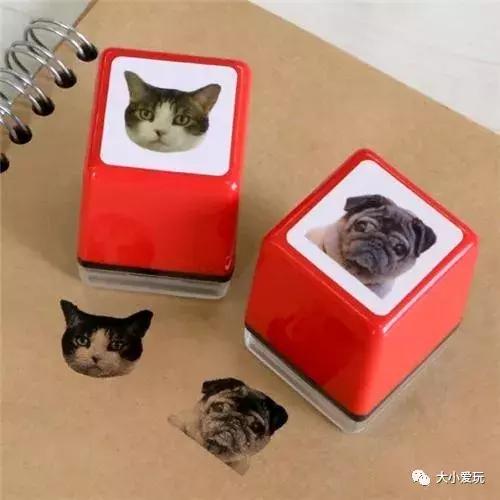 2019日本文具大赏海淘,日本文具大赏又双叒叕来啦