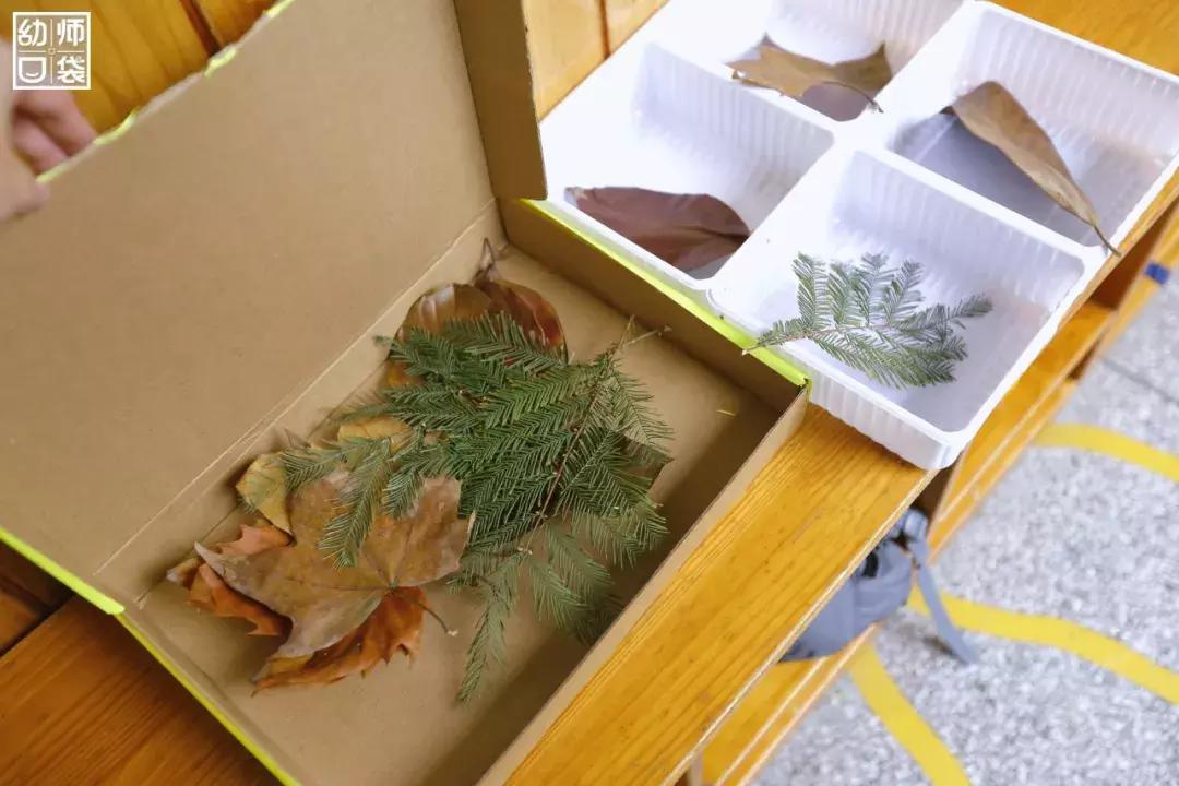 空间小、经费不足、面临*迁拆**，这家幼儿园却给出了满分的环境