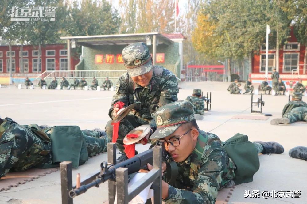 枪王还有几场复出,枪王有多少段