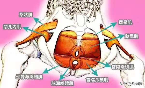 锻炼盆底肌能加快顺产吗,如何锻炼盆底肌防止漏尿