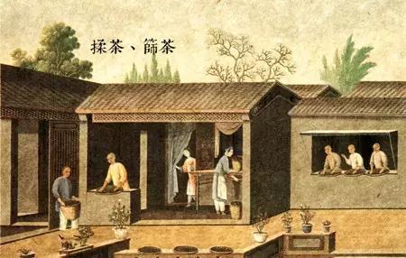 漫话中国古代史怎么画,漫话中国茶的历史