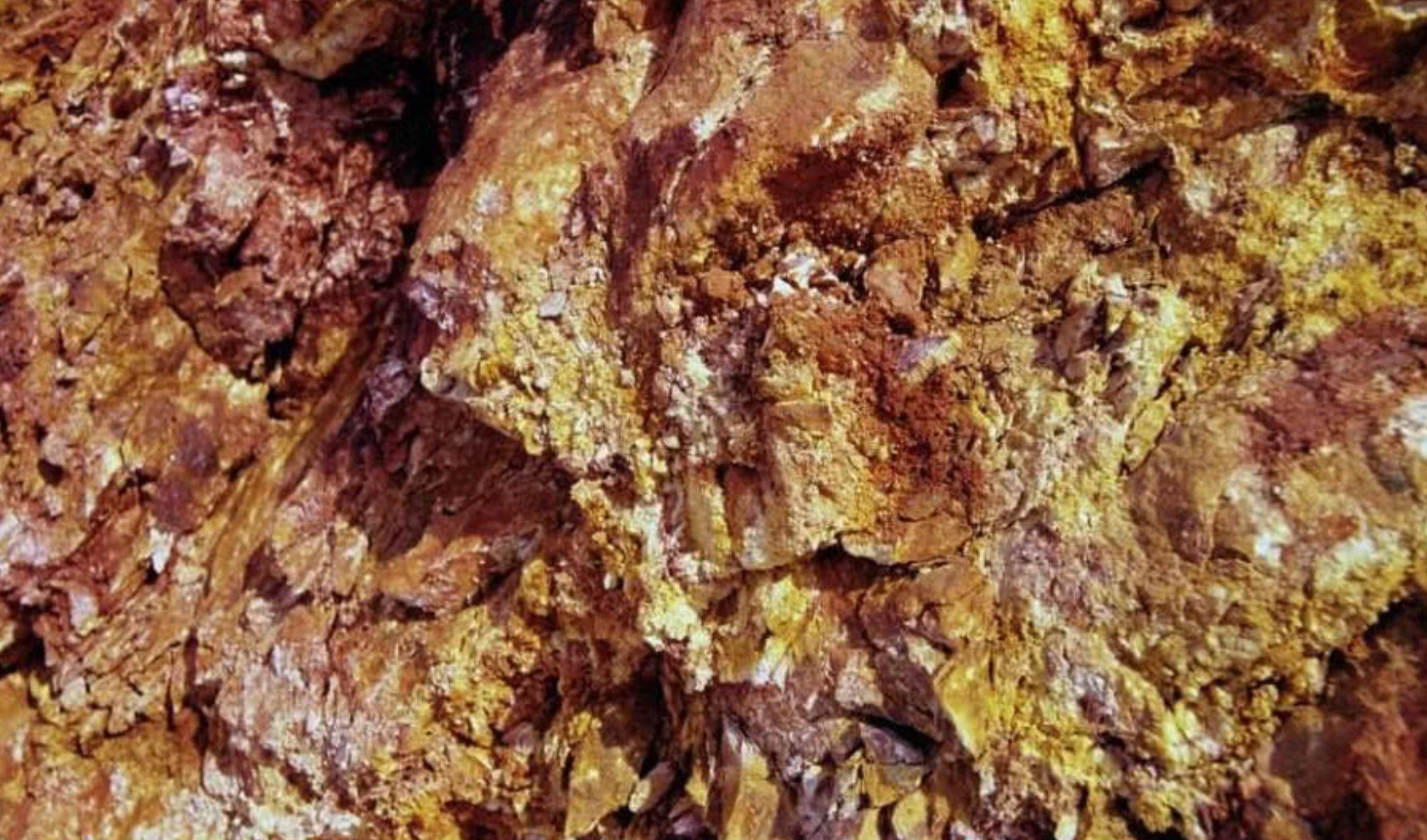 黄金的历史和文化,从黄金涨跌窥探世界正在经历什么