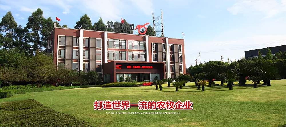 特驱集团发展,特驱集团反刍饲料