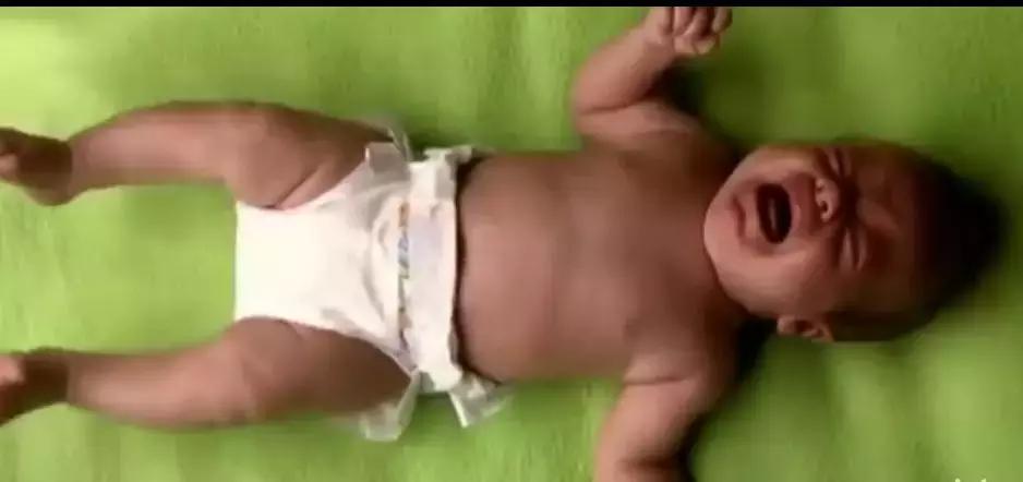 人体科普bbc,bbc人体科学