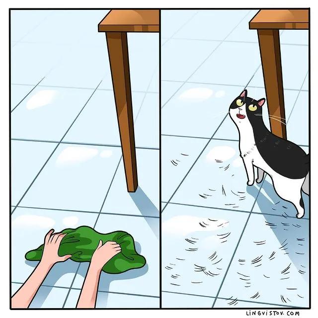 沙雕猫片，笑到床塌！自从做了卑微的铲屎官，比一个人时刺激多了