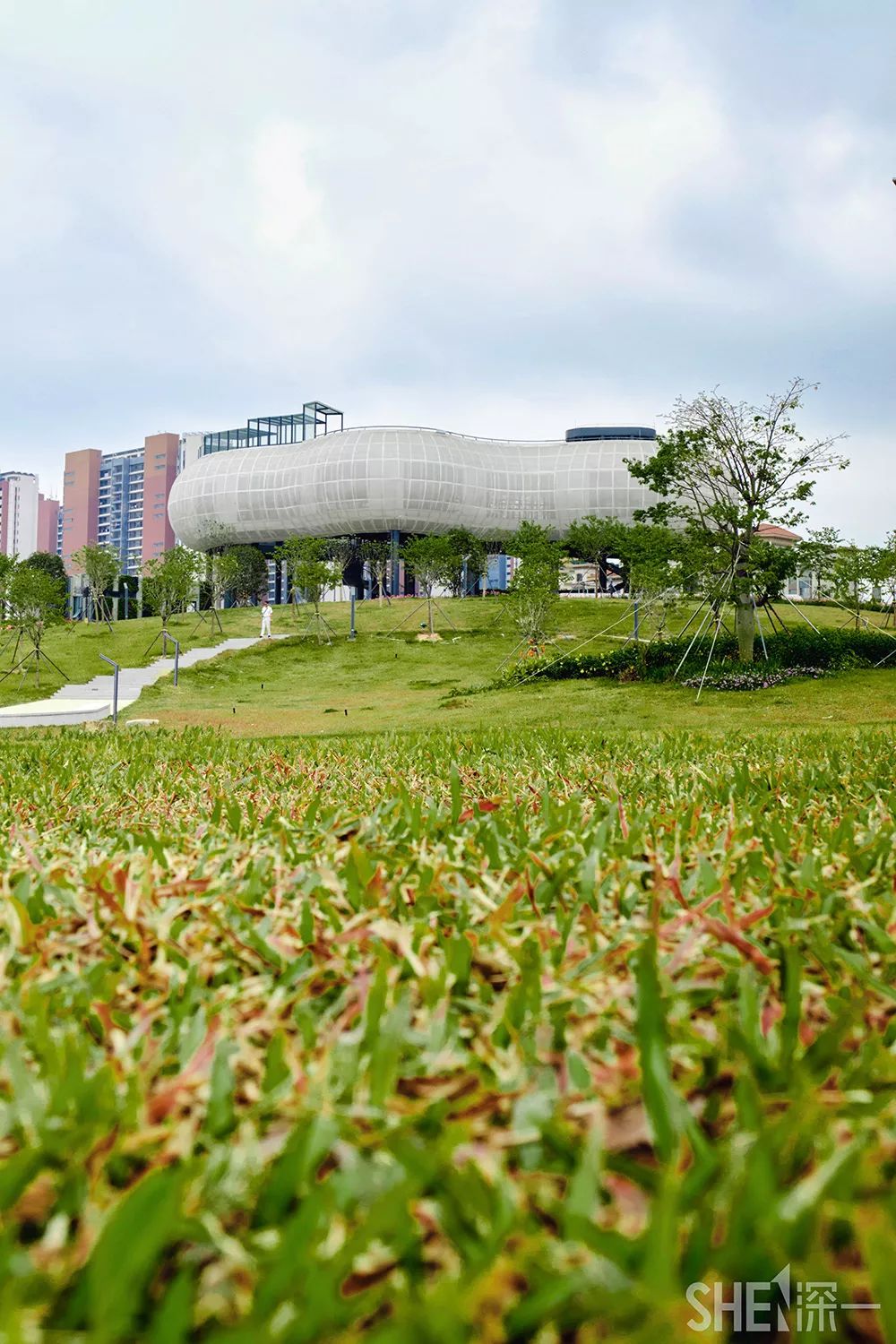 深圳龙华公园对外开放了吗,深圳市龙华新开的公园