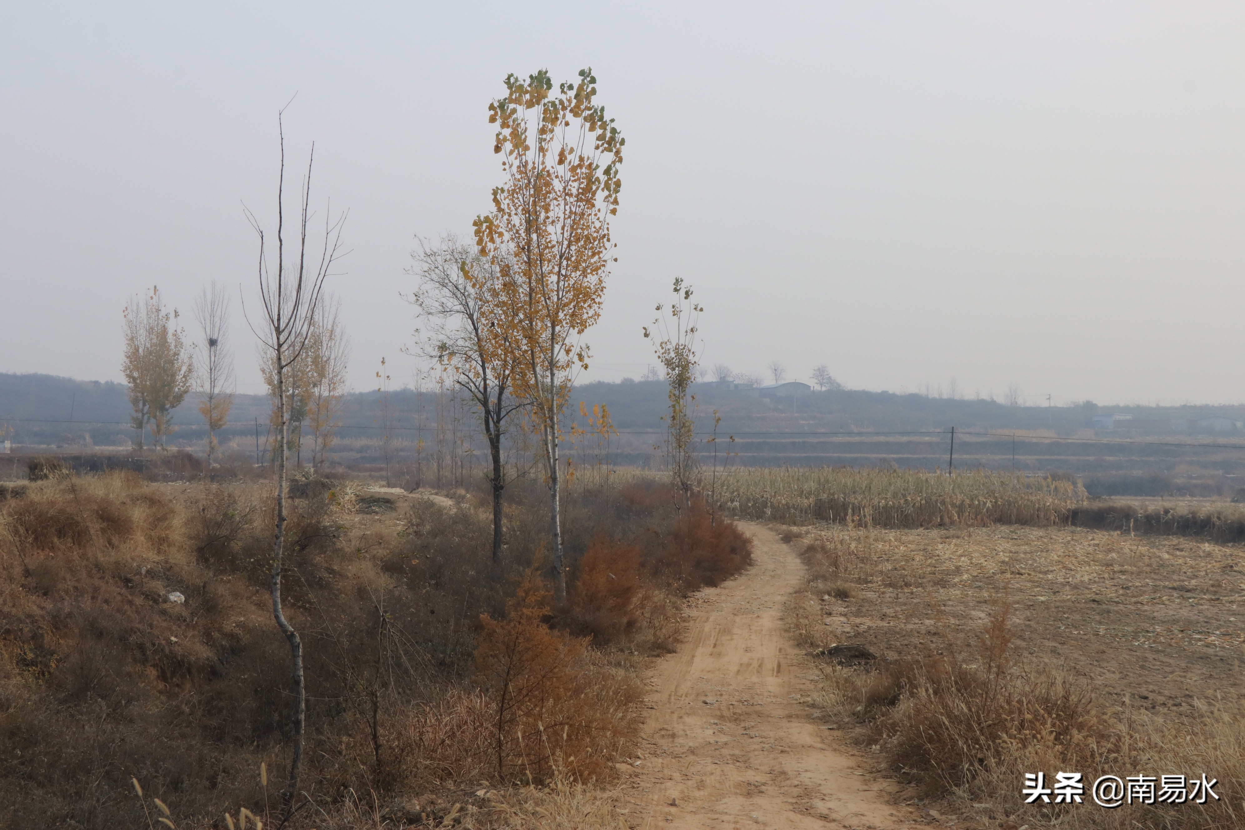 家乡风景带你一起感受自然的味道,令你难以忘怀的家乡的味道