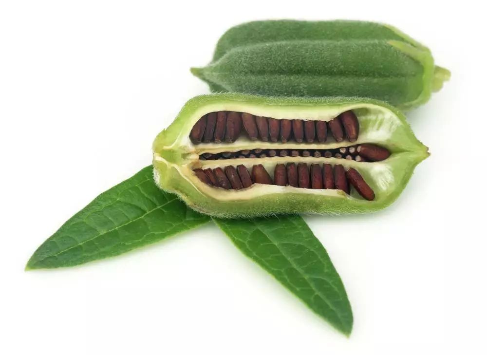 纯正芝麻酱的制作流程,正宗芝麻酱是什么样子的