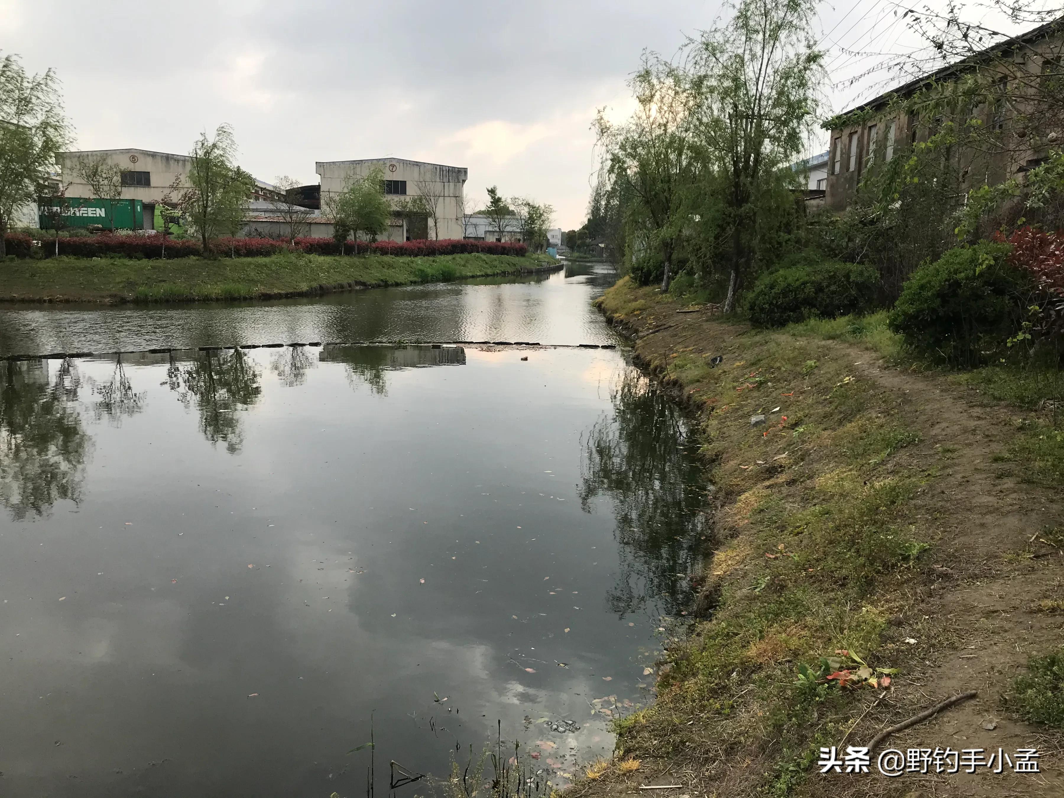 贼喊抓贼,是谁断送了野钓资源?有些钓鱼人要长点心吧