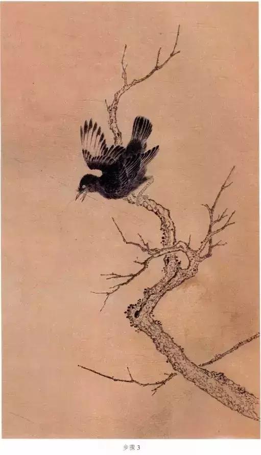 苏百钧工笔国画教学视频,苏百钧花鸟白描画稿