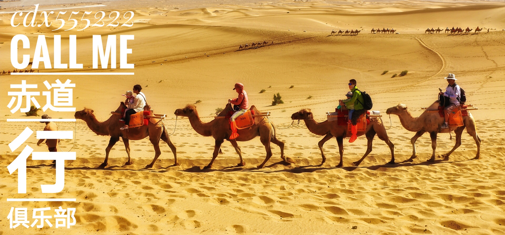 椋為┌鏂扮枂,椹伴獘鐤嗗煙鏃呮父