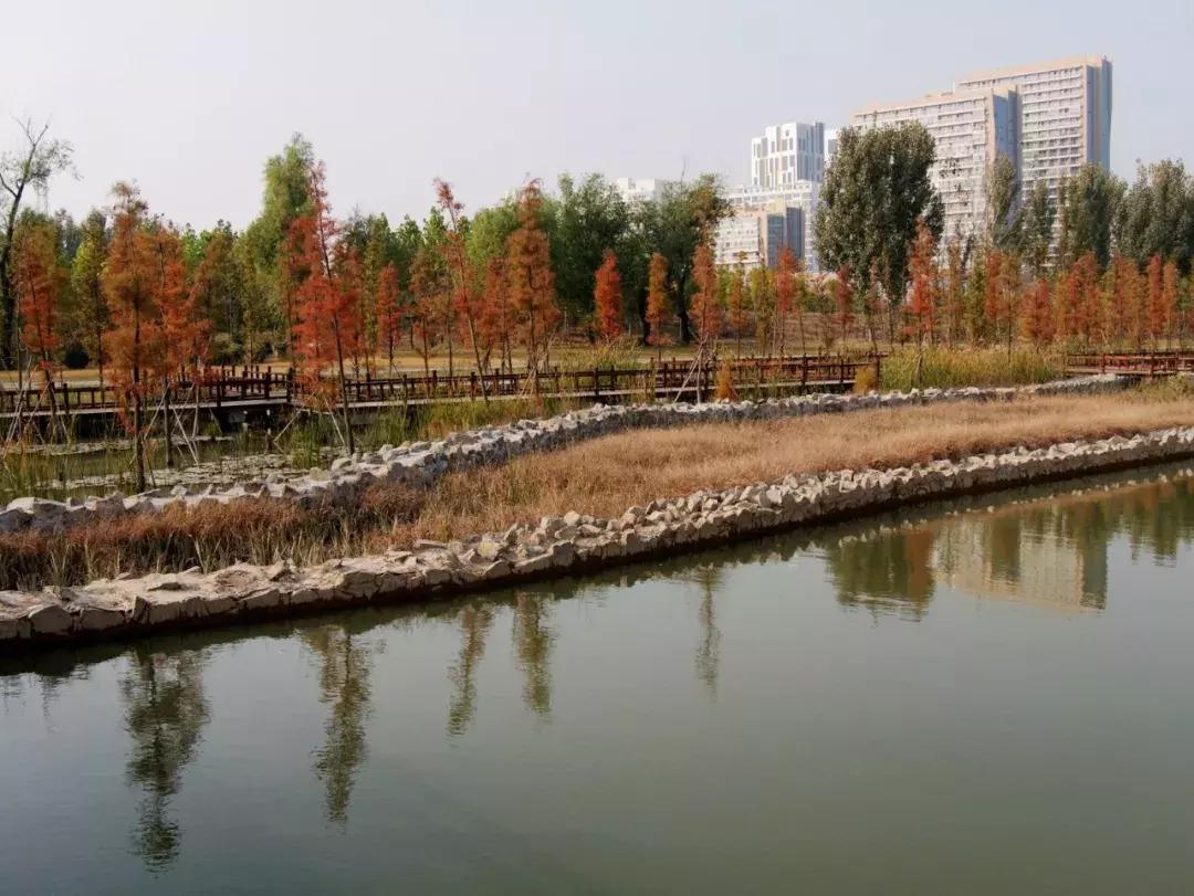 薛城未来五年发展之城南篇,薛城未来重点发展的片区