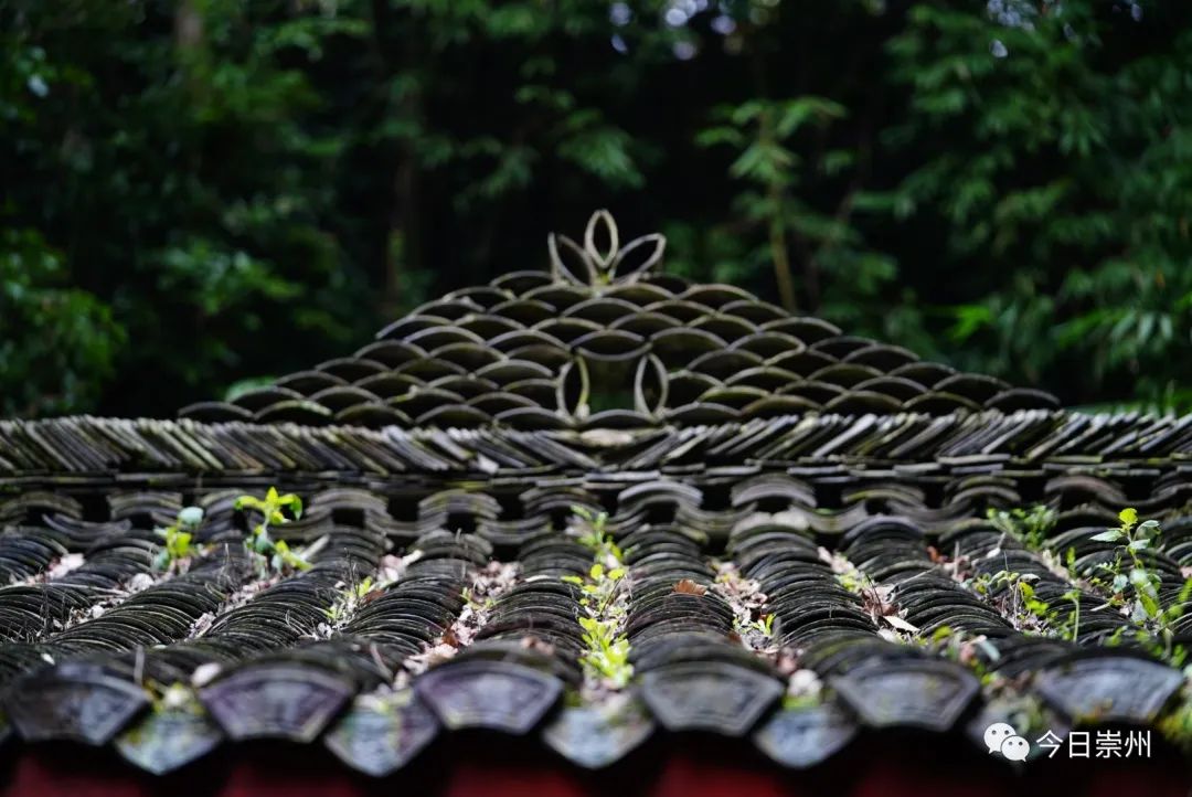 四川崇州怀远镇网红小吃粉蒸肉,崇州美食粉蒸肉