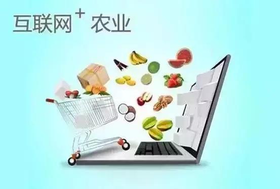 「聚力强富美高决胜全面小康」走品牌路线，搭网络快车，裴蕾村特色农产品香飘“墙内外”