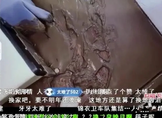 血亏30w！逐梦兄弟基地遭洪水过境彻底清场！钓号网